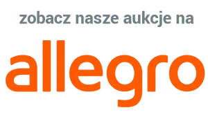 kanał samochodowy Allegro
